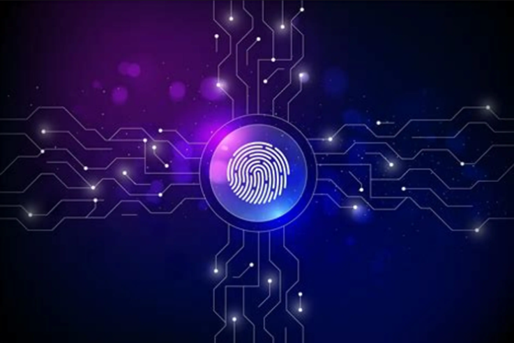 比特浏览器账号或密码错误提示界面